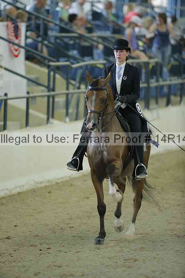 Proof Number 14r14_1116