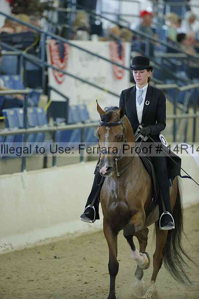 Proof Number 14r14_1117