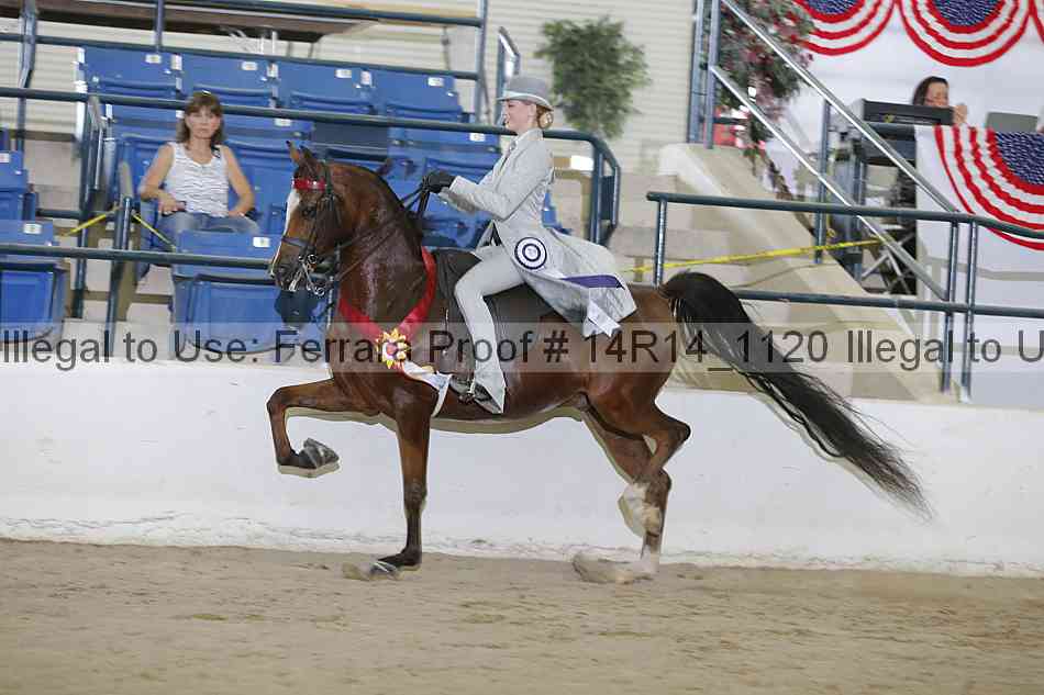 Proof Number 14r14_1120