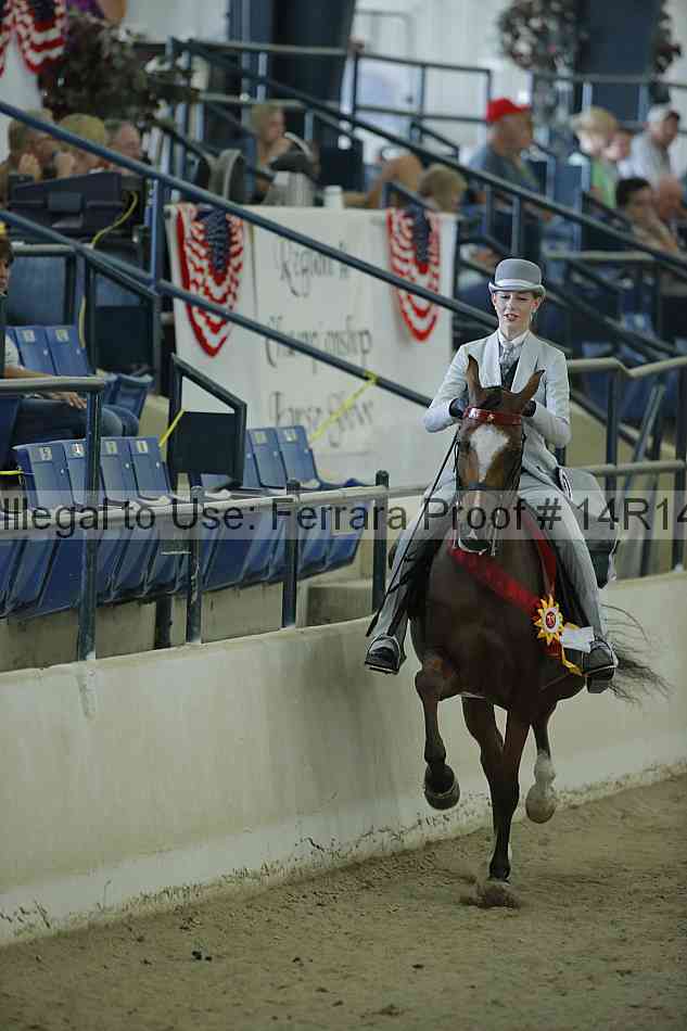 Proof Number 14r14_1121
