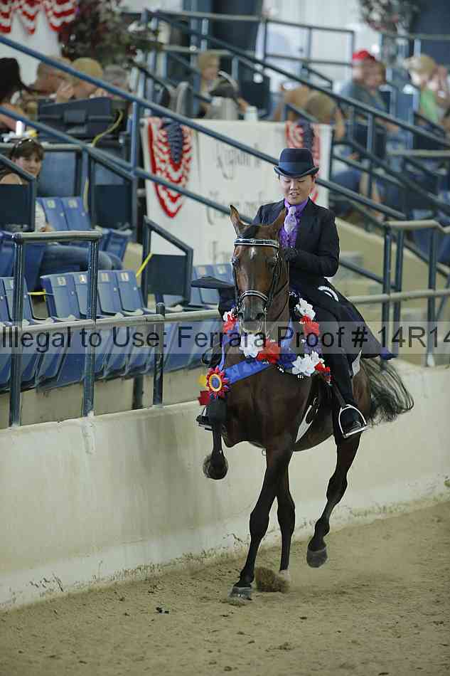 Proof Number 14r14_1126