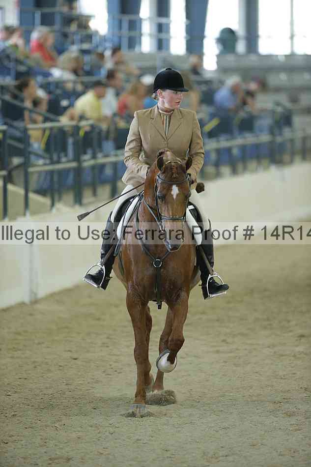 Proof Number 14r14_1152