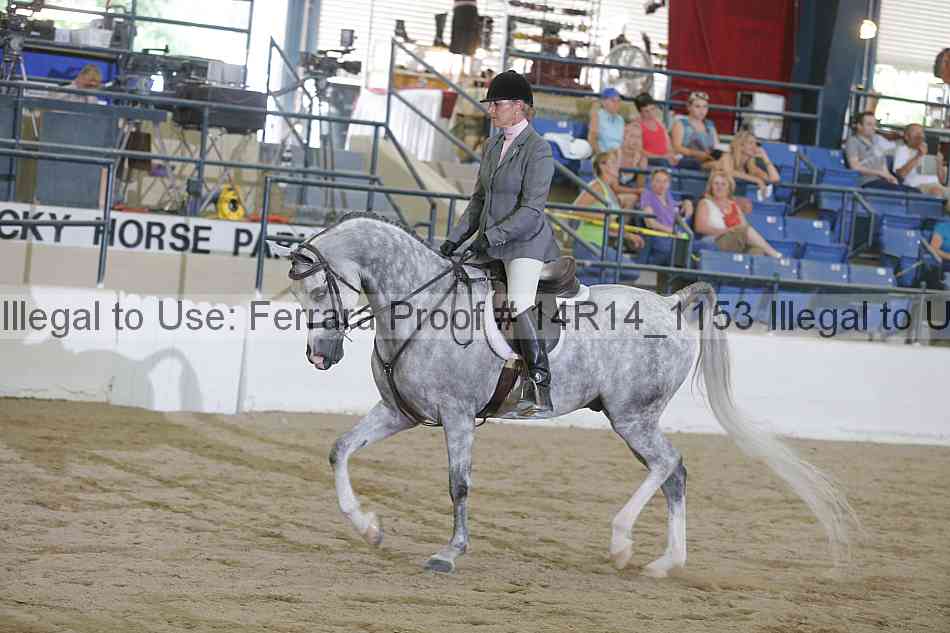 Proof Number 14r14_1153