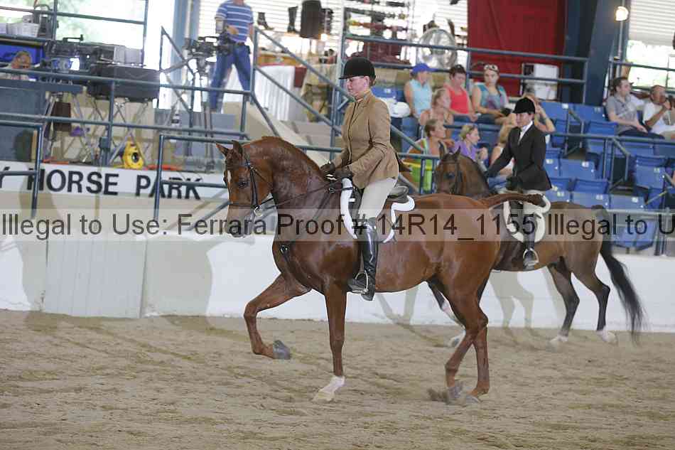 Proof Number 14r14_1155