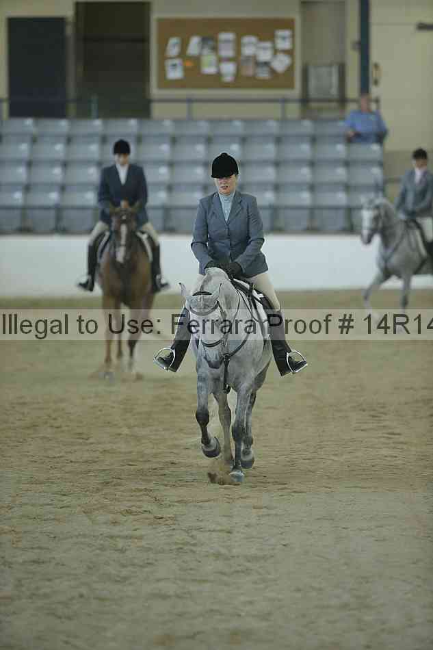 Proof Number 14r14_1162