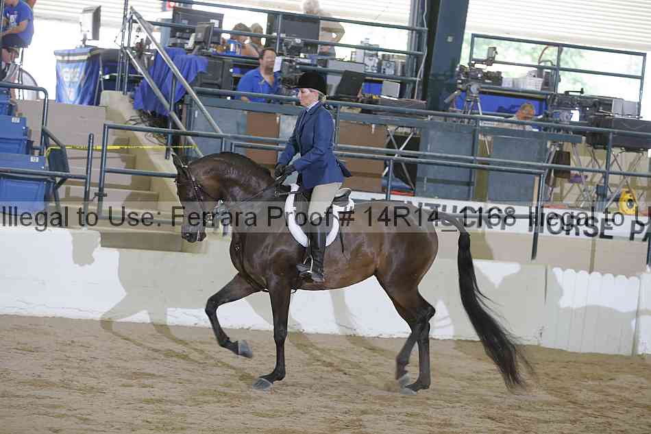 Proof Number 14r14_1168