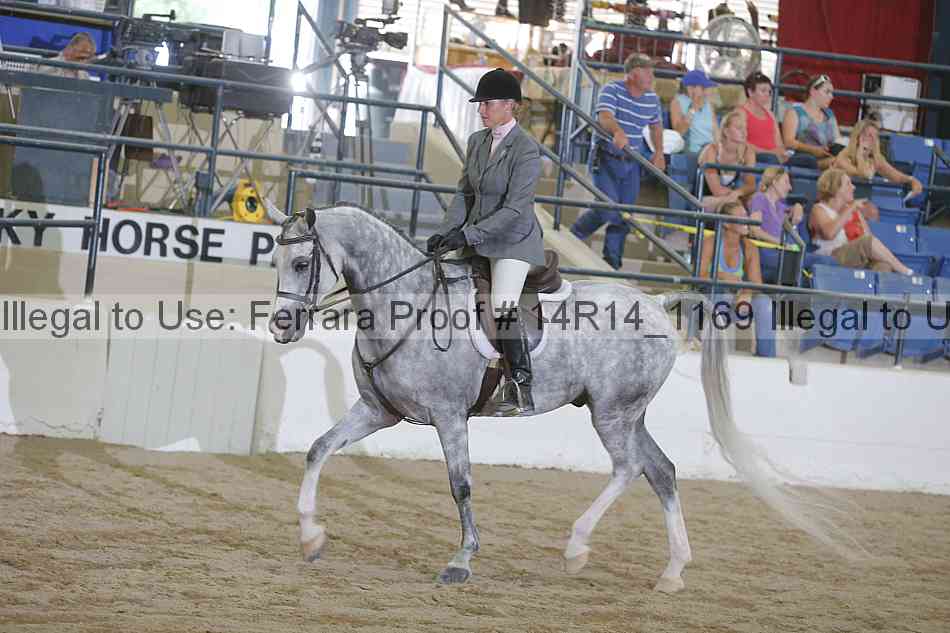 Proof Number 14r14_1169