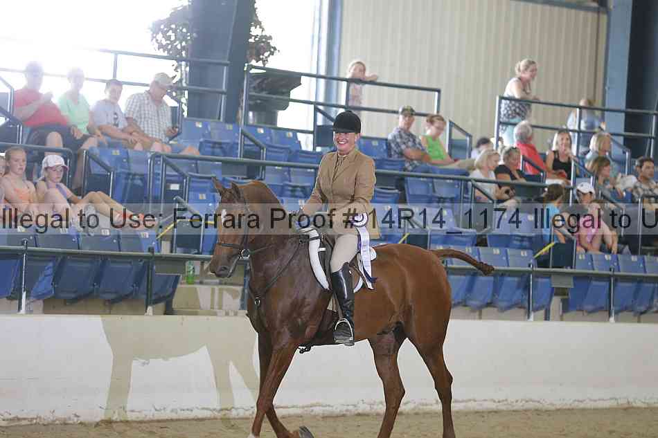 Proof Number 14r14_1174