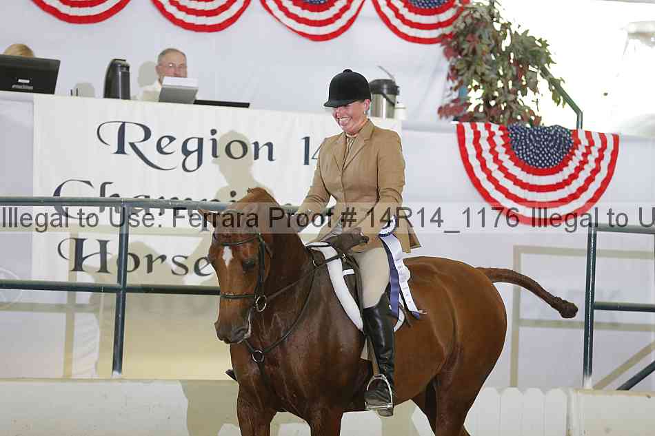 Proof Number 14r14_1176