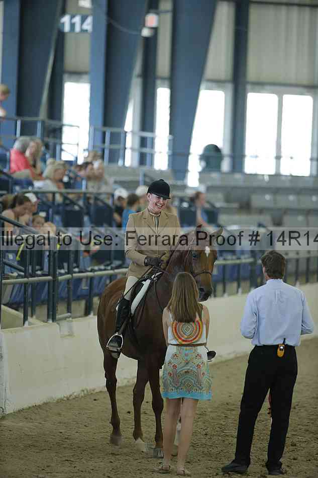 Proof Number 14r14_1177