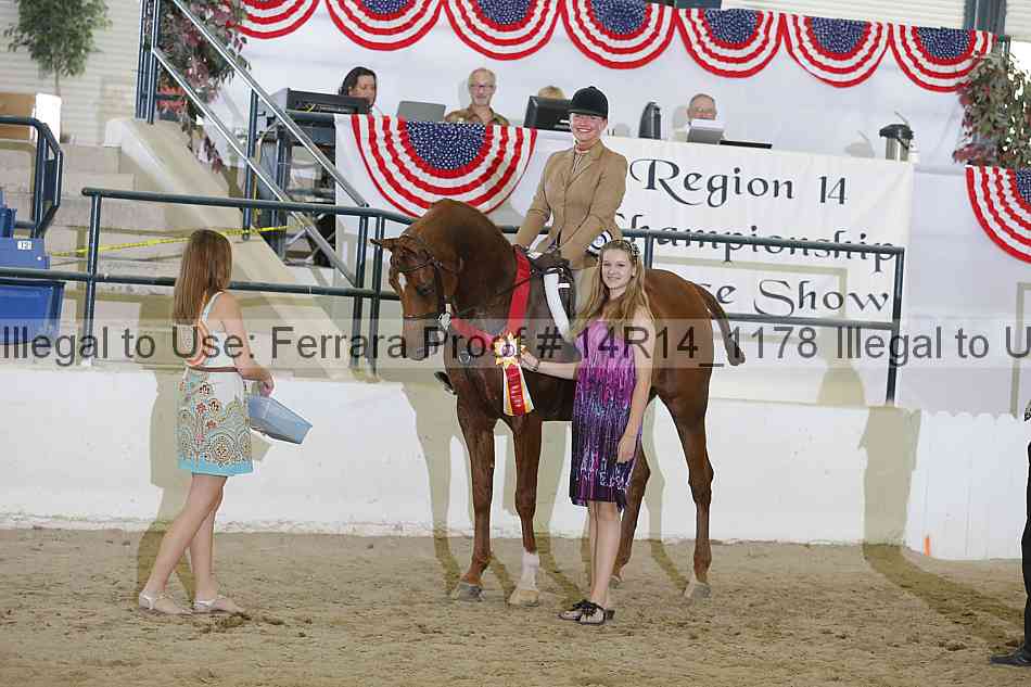 Proof Number 14r14_1178
