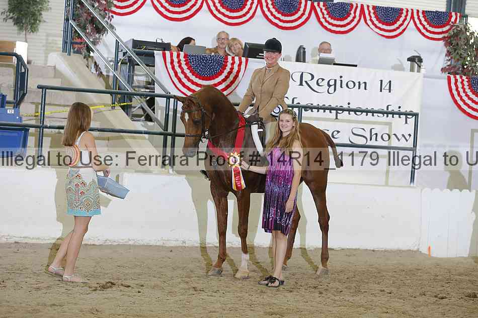Proof Number 14r14_1179