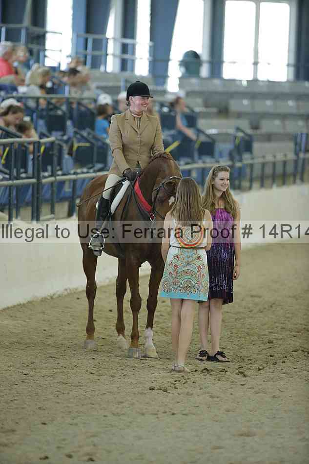 Proof Number 14r14_1182