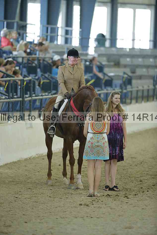 Proof Number 14r14_1183