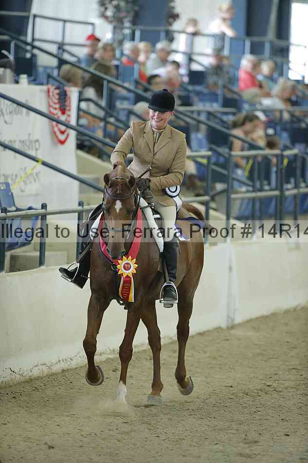 Proof Number 14r14_1184