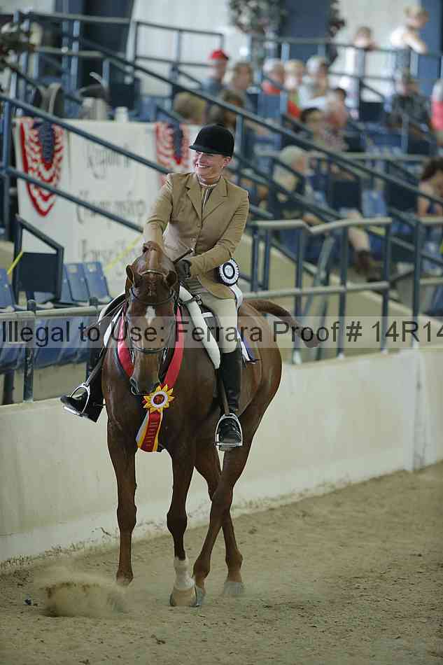 Proof Number 14r14_1185