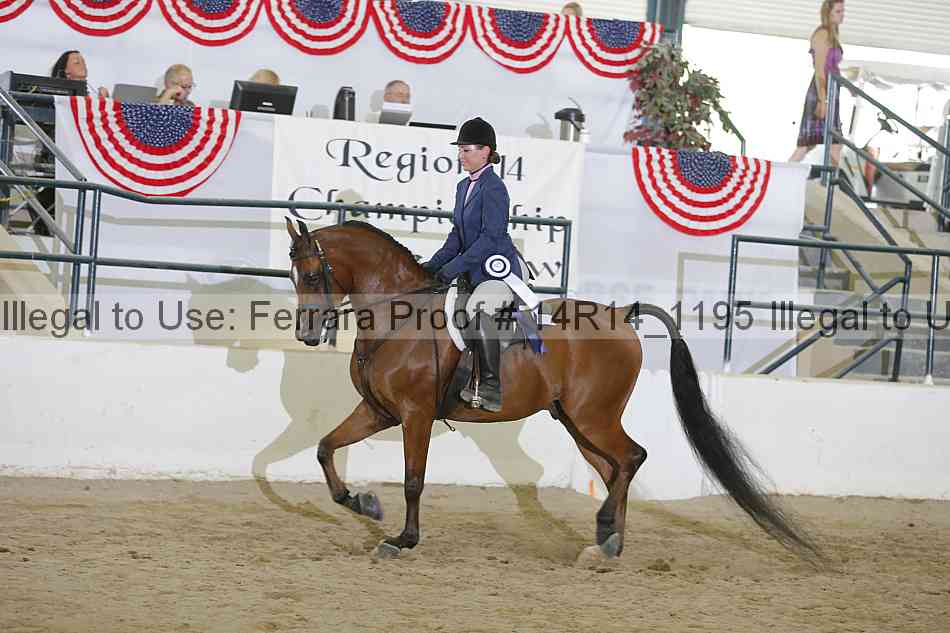 Proof Number 14r14_1195