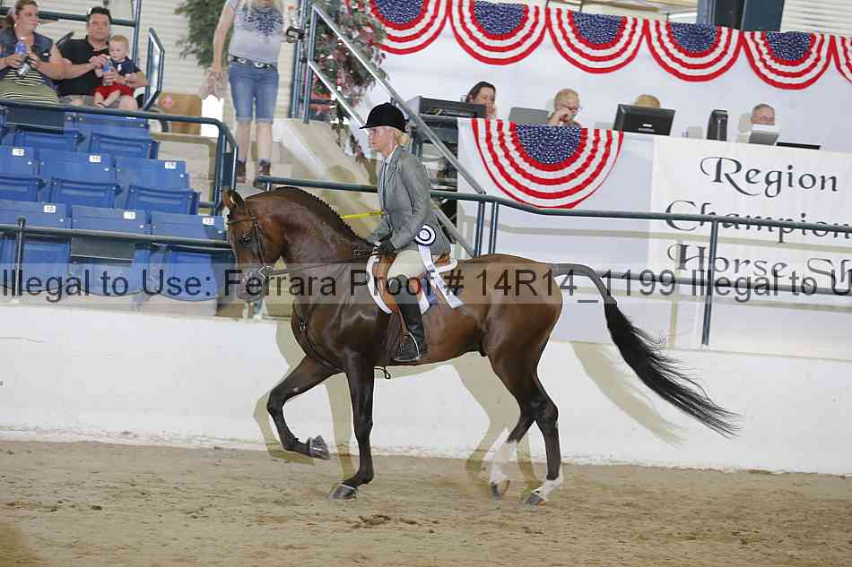 Proof Number 14r14_1199