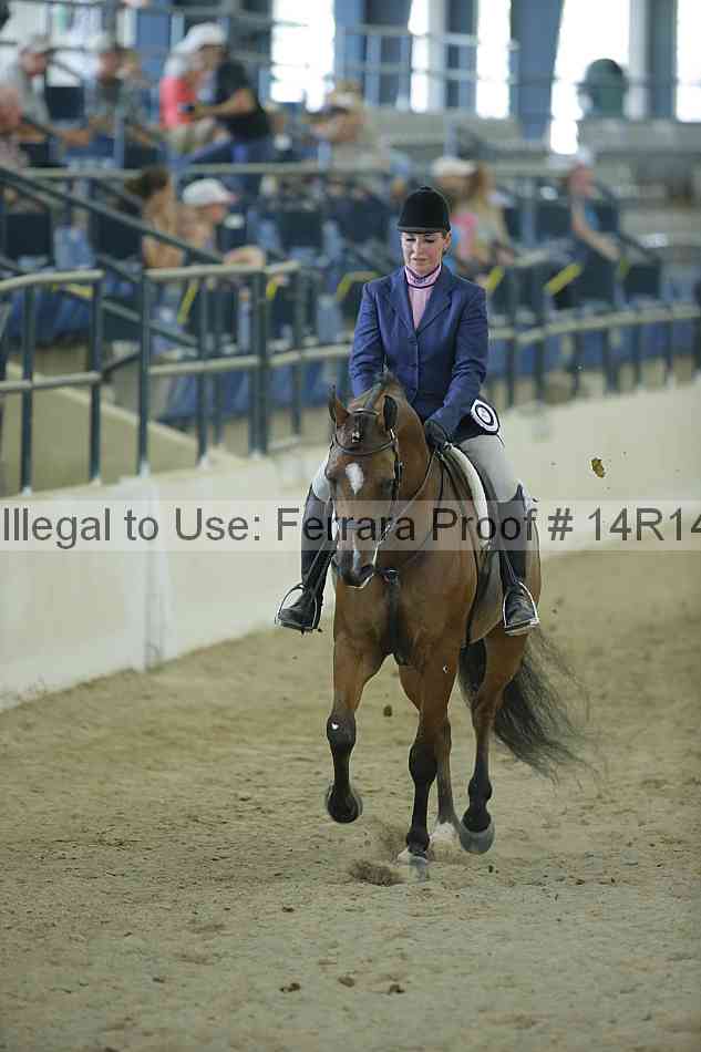 Proof Number 14r14_1201