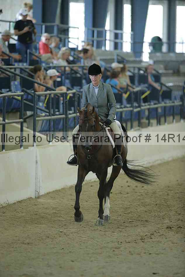 Proof Number 14r14_1202