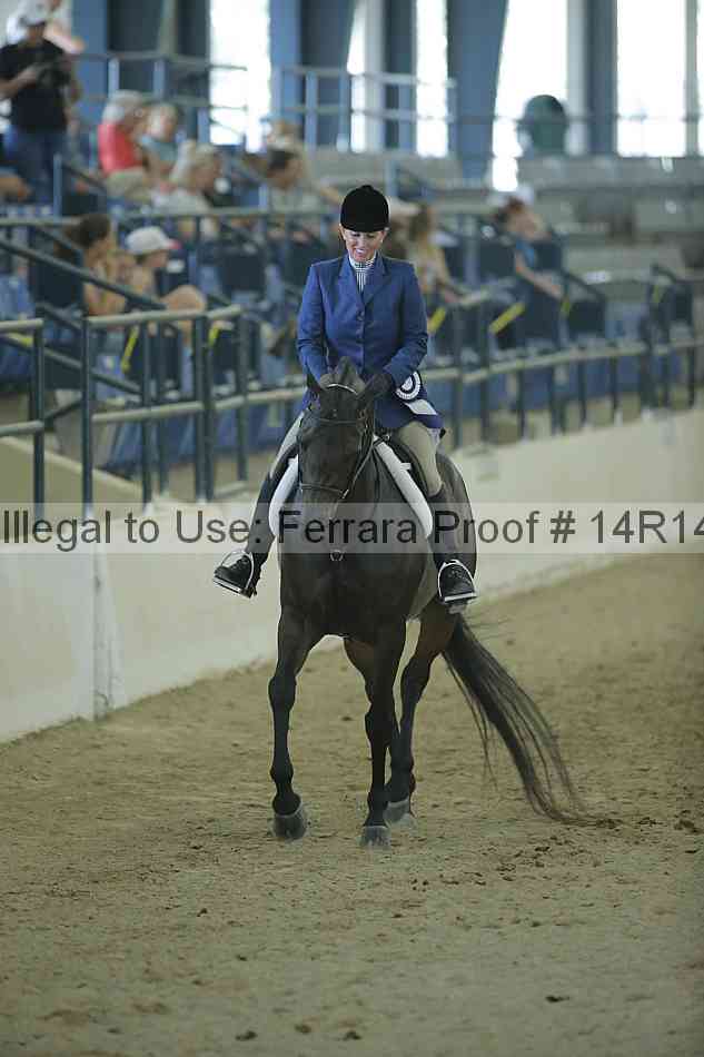 Proof Number 14r14_1204