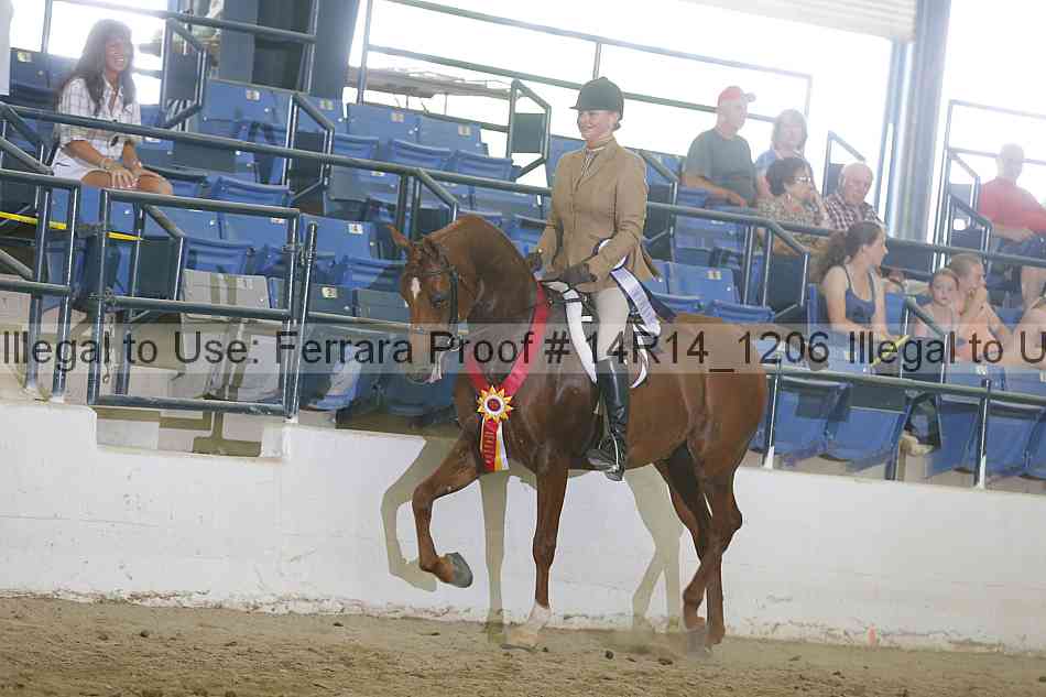 Proof Number 14r14_1206