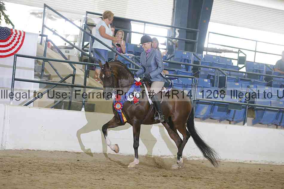 Proof Number 14r14_1208