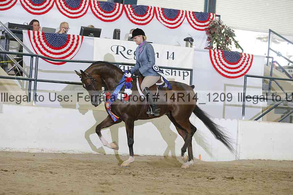 Proof Number 14r14_1209