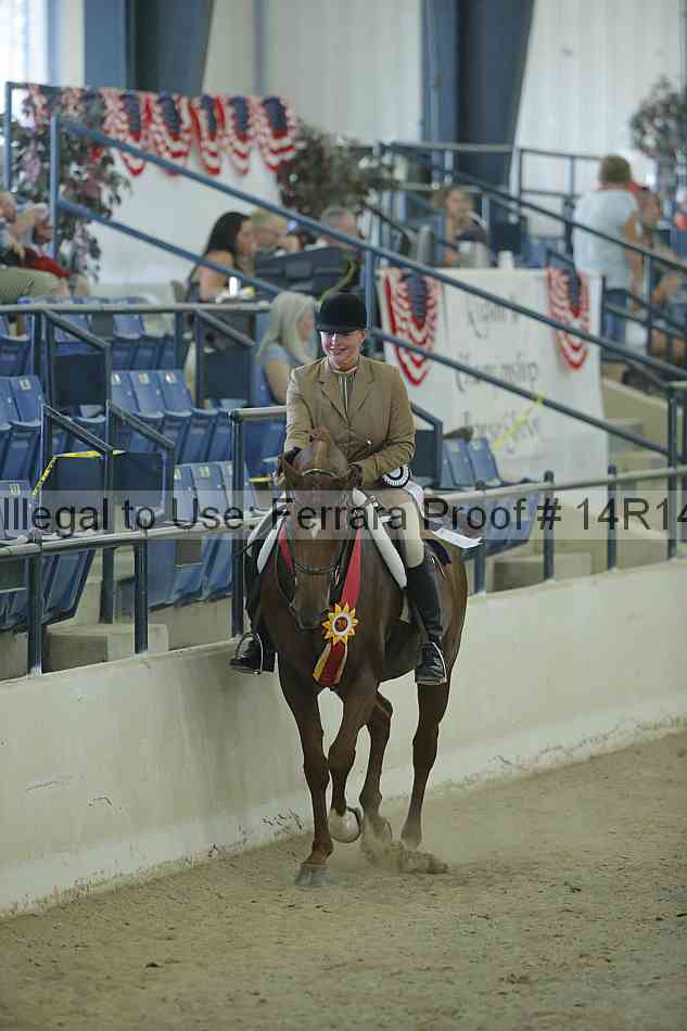 Proof Number 14r14_1212