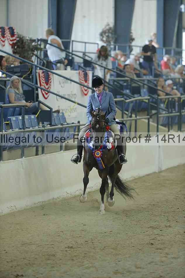 Proof Number 14r14_1214
