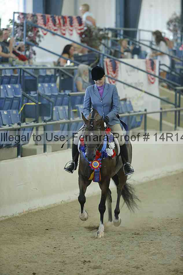 Proof Number 14r14_1215