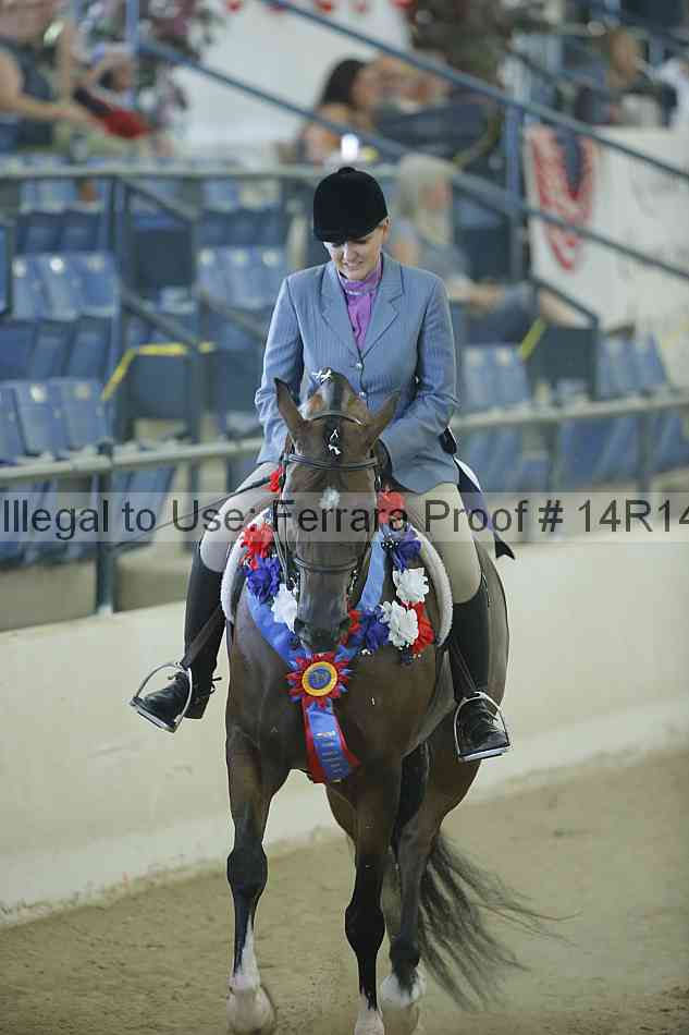 Proof Number 14r14_1216