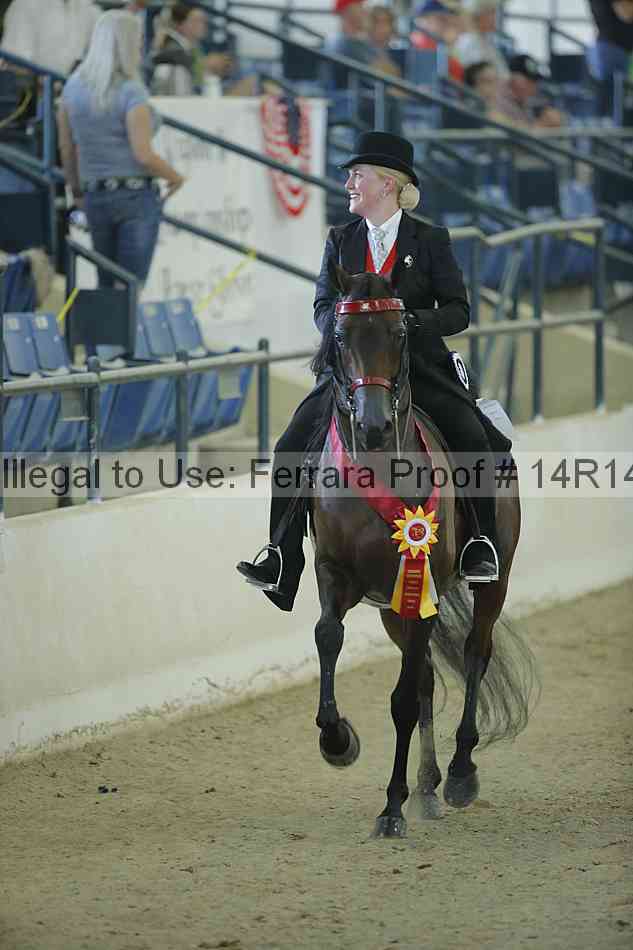Proof Number 14r14_1236
