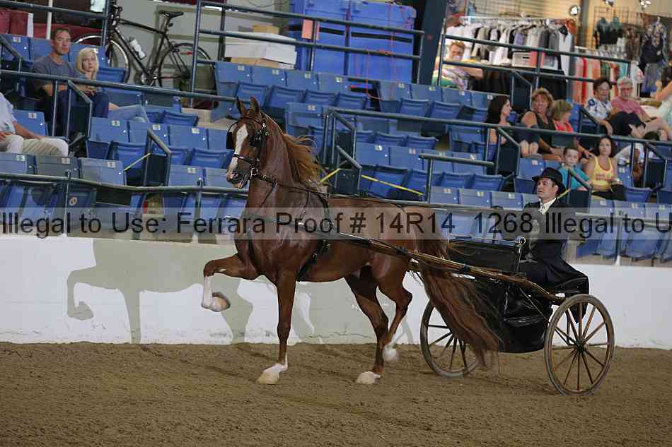 Proof Number 14r14_1268
