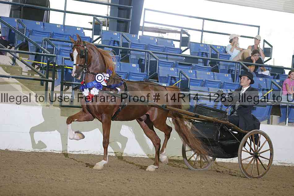 Proof Number 14r14_1285