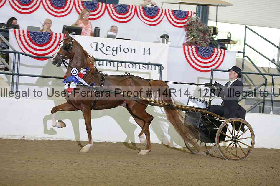Proof Number 14r14_1287