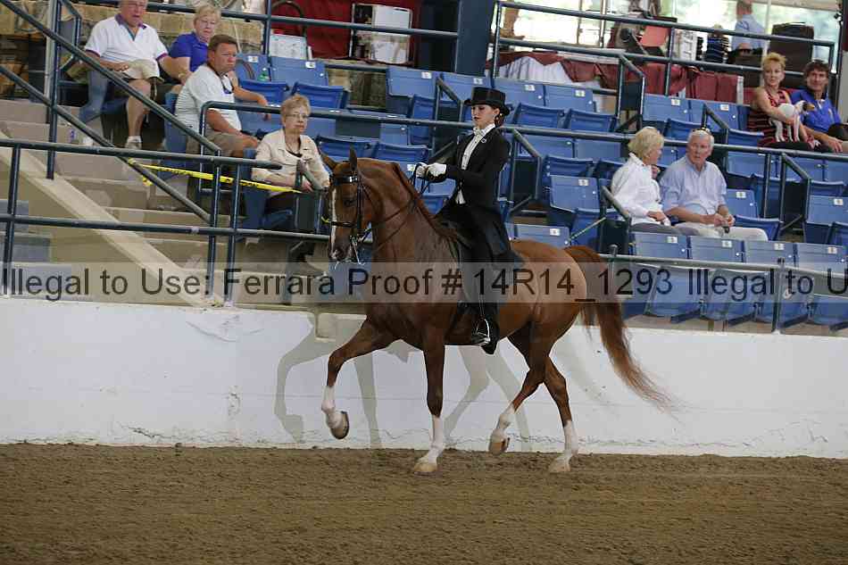 Proof Number 14r14_1293