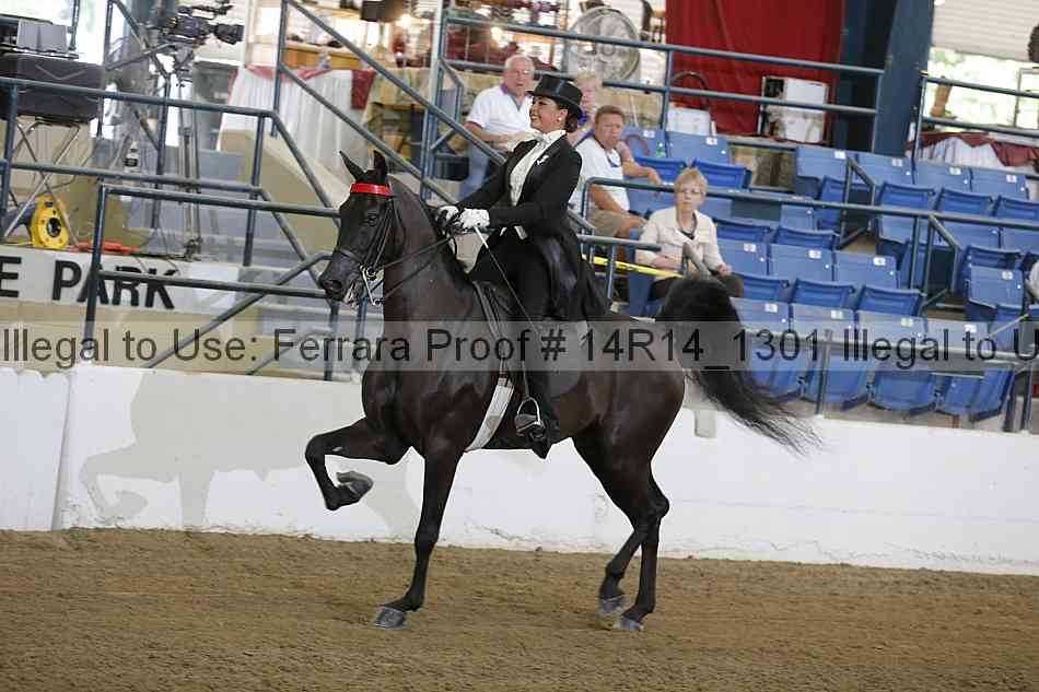 Proof Number 14r14_1301