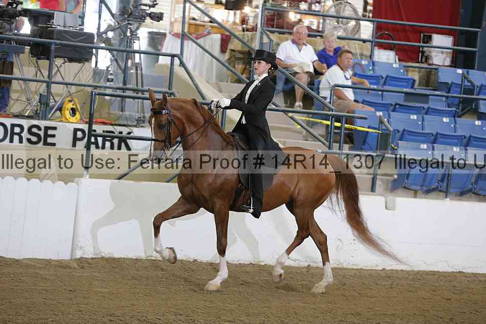 Proof Number 14r14_1307