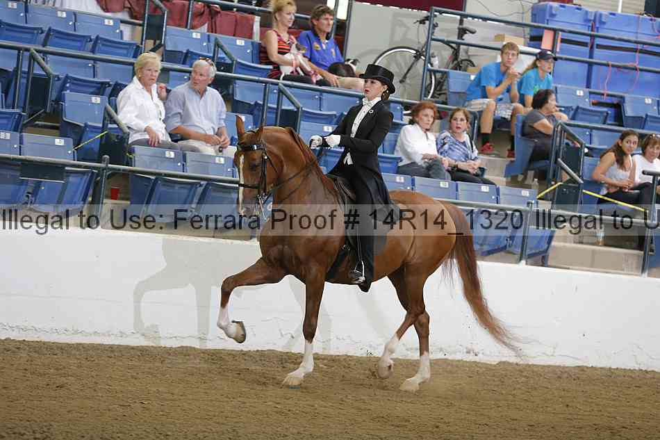 Proof Number 14r14_1320