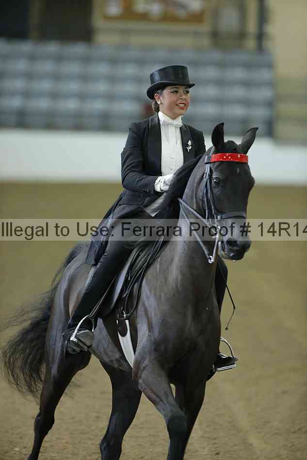 Proof Number 14r14_1321
