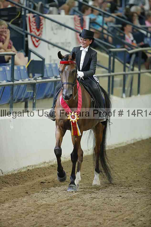 Proof Number 14r14_1327