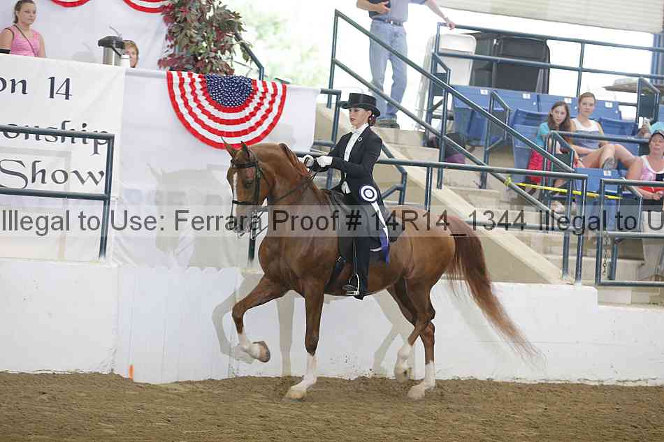 Proof Number 14r14_1344