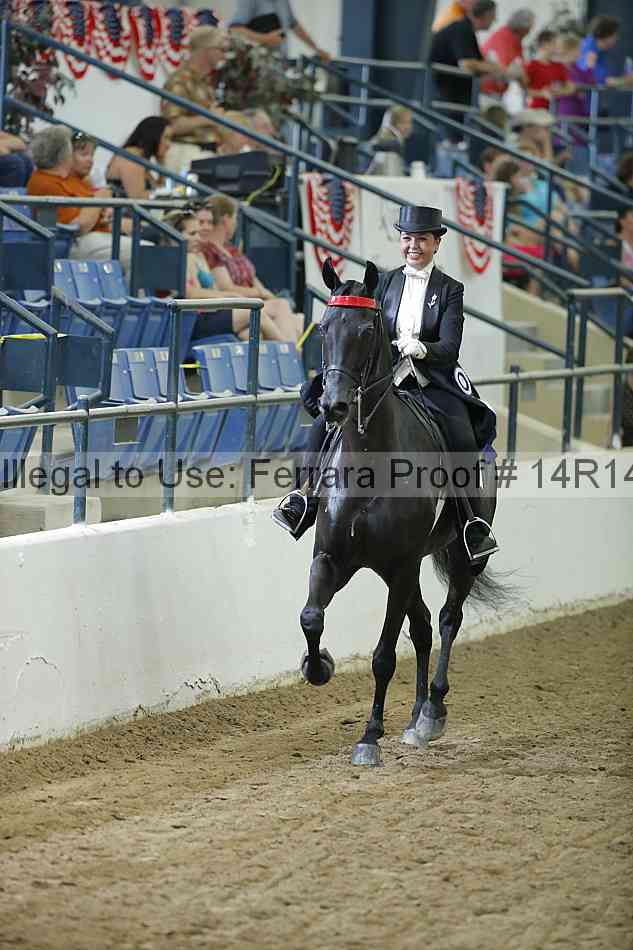 Proof Number 14r14_1346
