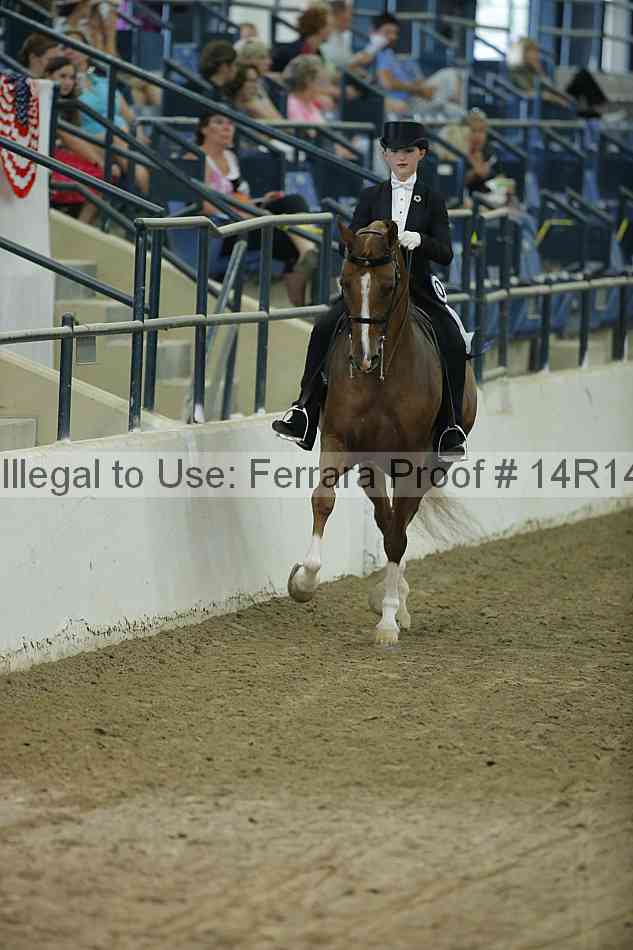 Proof Number 14r14_1347