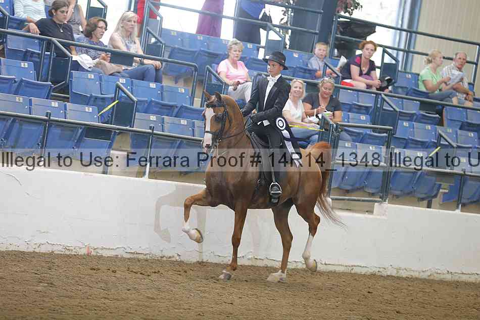 Proof Number 14r14_1348