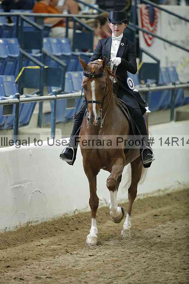 Proof Number 14r14_1351