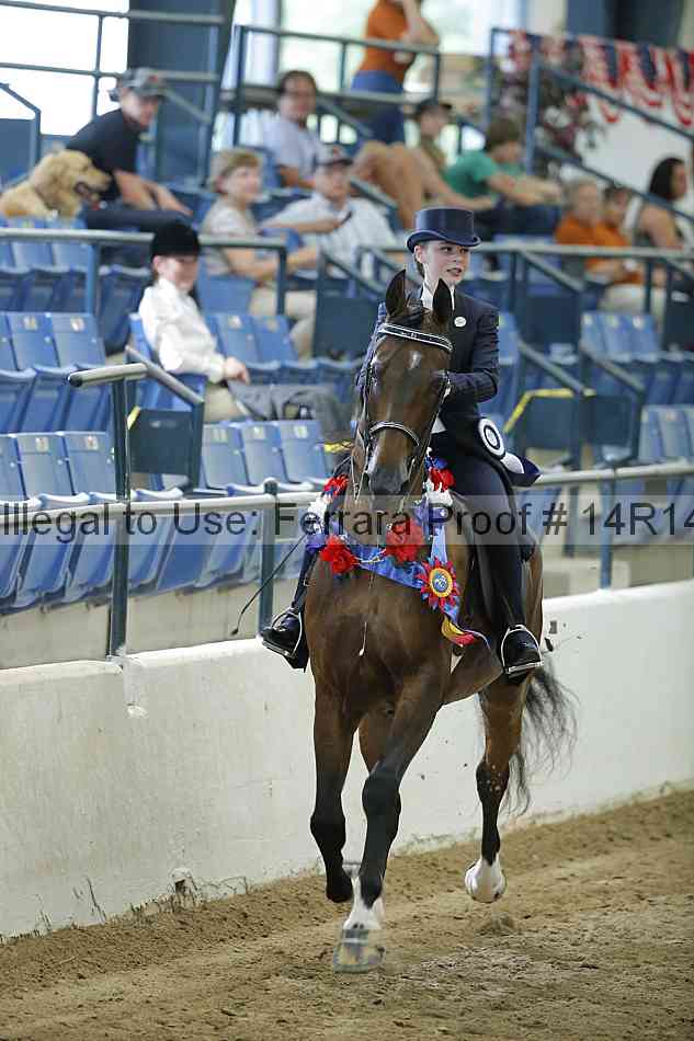Proof Number 14r14_1362