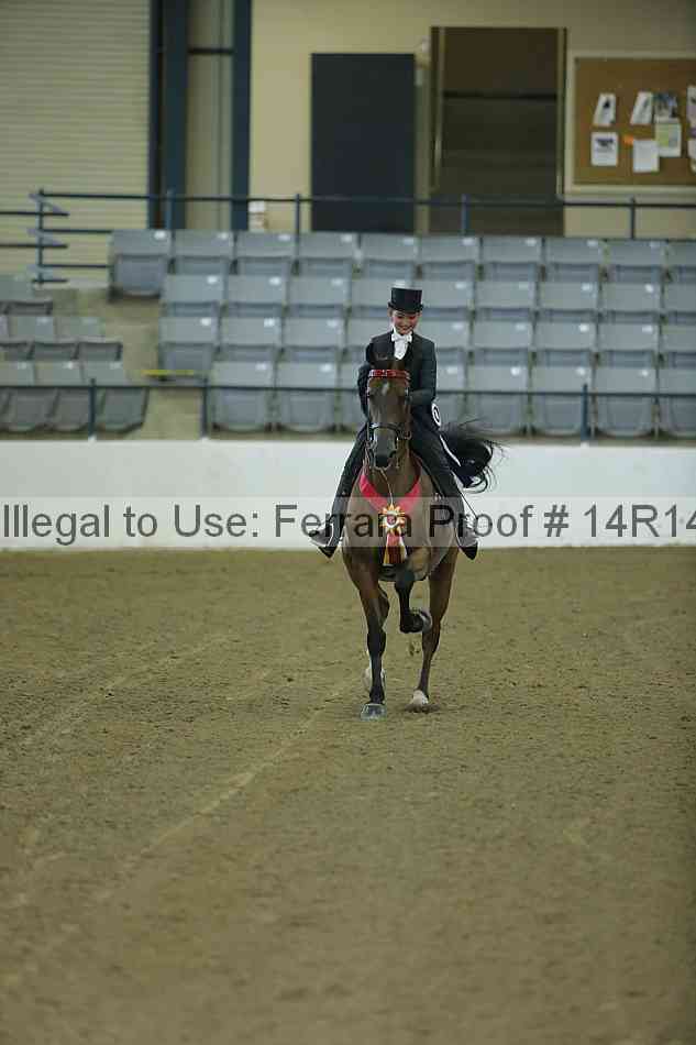 Proof Number 14r14_1364