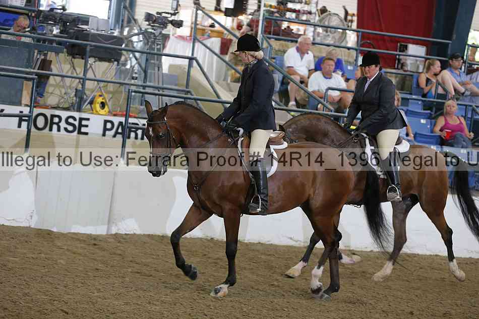 Proof Number 14r14_1396